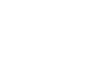 Ambass Inc.